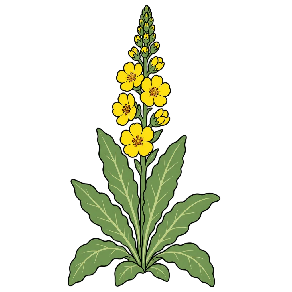 Mullein Flat Clipart — flower clip art