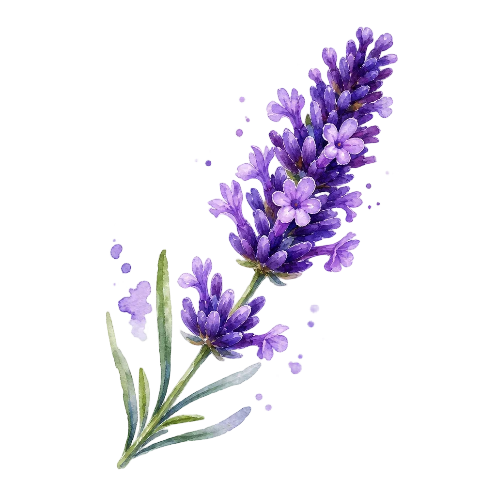 Vibrant Purple Lavender Sprig Watercolor — free clip art