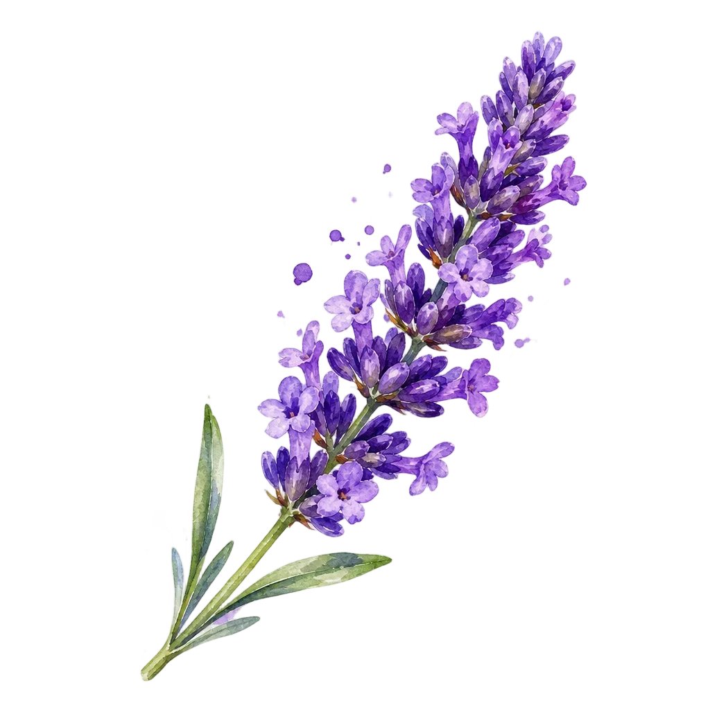 Purple Lavender Sprig Watercolor — free clip art
