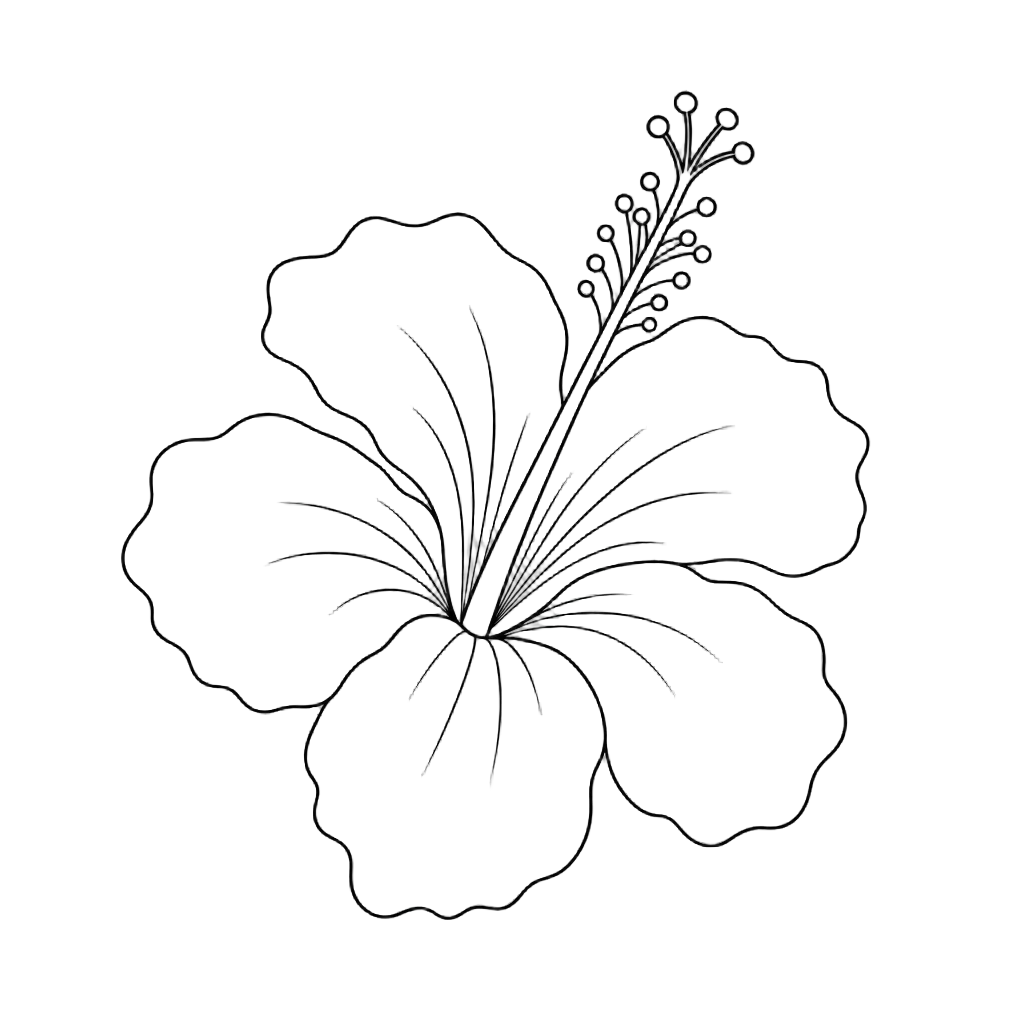 Pure Black Outline Hibiscus Flower — free clip art