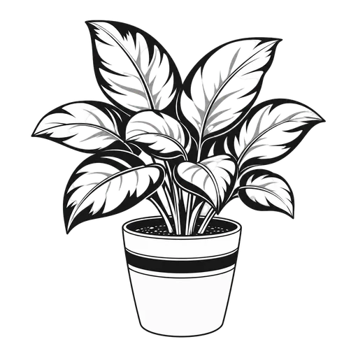 Plant drawn in the Black & White style